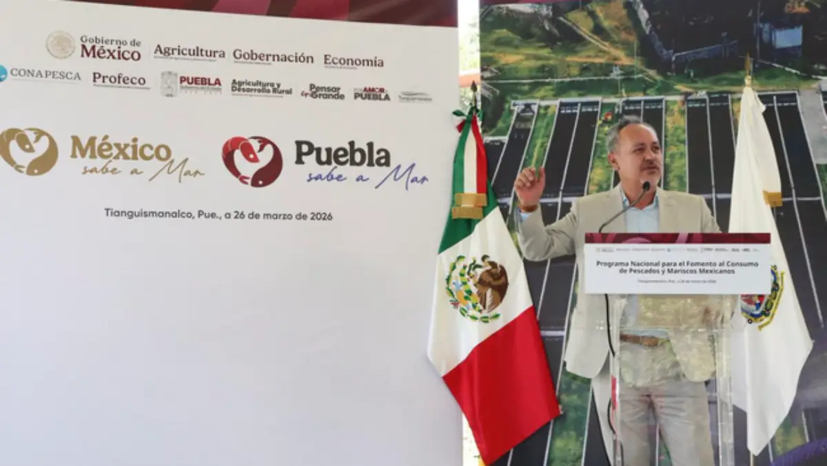 “México Sabe a Mar”: Conapesca fomenta el consumo y fortalece el mercado de pescados y mariscos nacionales