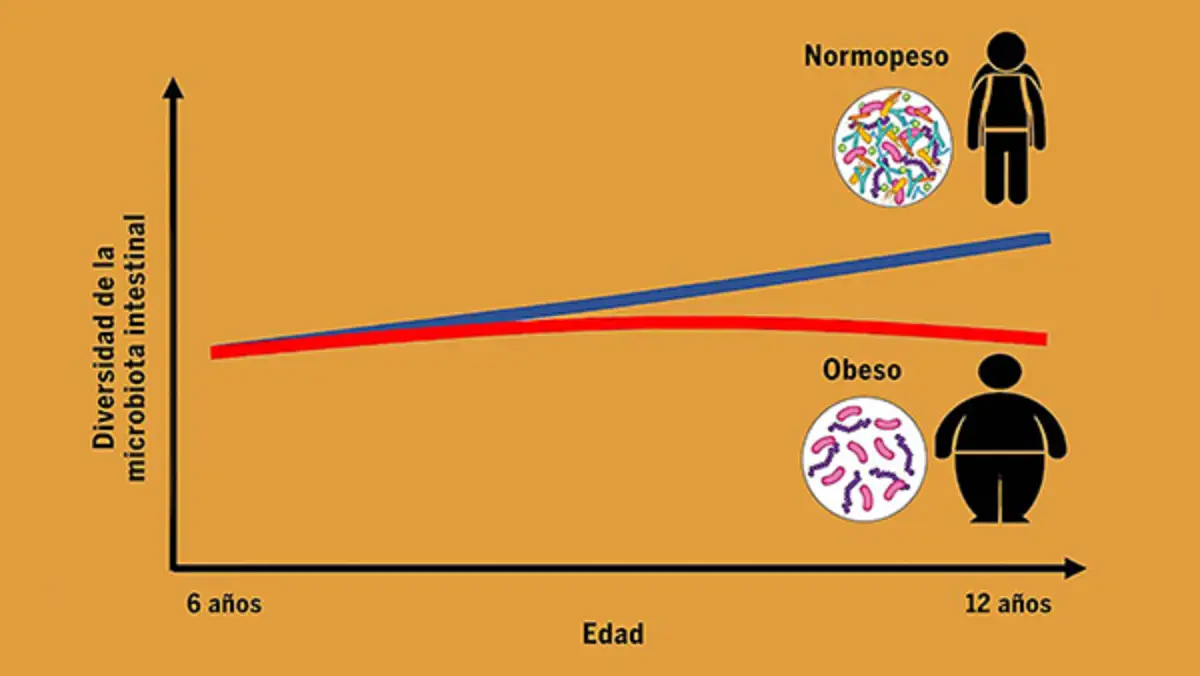 UNAM: Leche de madres con obesidad y sobrepeso impacta microbiota intestinal de sus recién nacidos