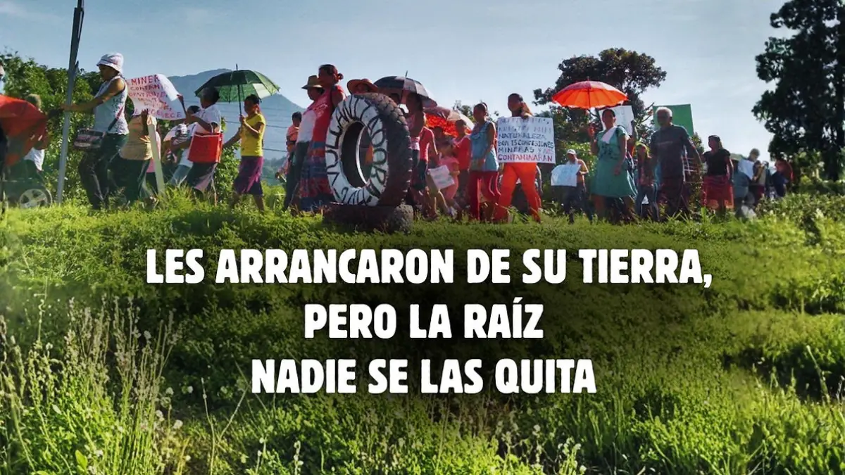 COMUNICADO I Les arrancaron de su tierra, pero la raíz nadie se las quita