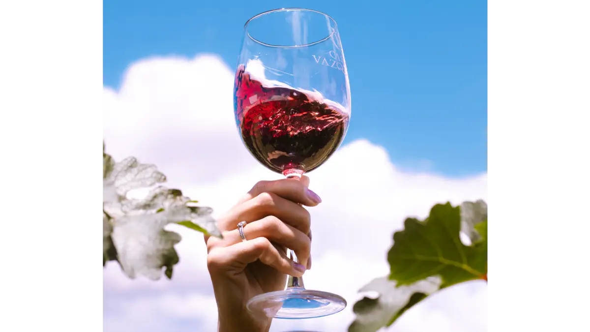 Salud! Volvió el Vino Fest a Chihuahua Capital
