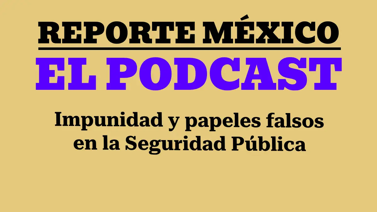 NOTA DE OPINIÓN Y ANÁLISIS: Impunidad y Papeles Falsos en la Seguridad Pública