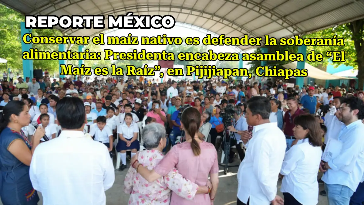 Conservar el maíz nativo es defender la soberanía alimentaria: Presidenta encabeza asamblea de “El Maíz es la Raíz”, en Pijijiapan, Chiapas